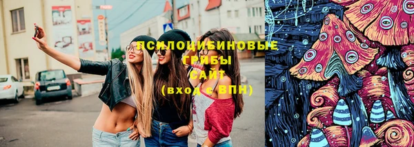 а пвп мука Тында