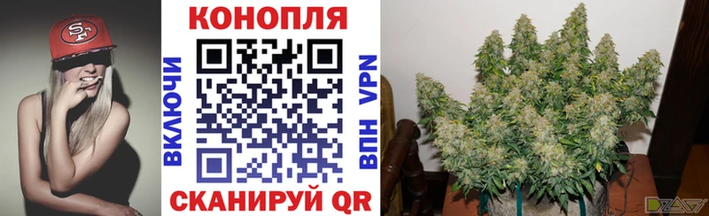 Конопля планчик  Краснозаводск 